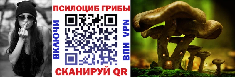 Псилоцибиновые грибы Magic Shrooms наркотики Приморск